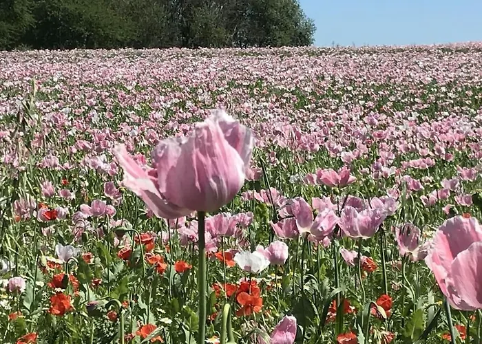Hoher Meissner Дом отдыха Germerode