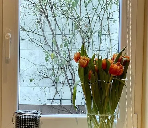 Дом отдыха Hoher Meissner Germerode